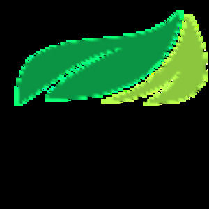 Meet your Posher, Damian